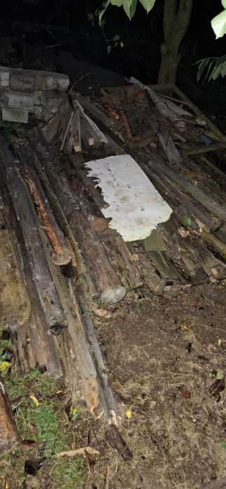 Drzewo opałowe mokre