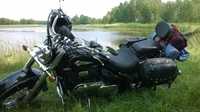 Suzuki Intruder Volusia VL800 idealny mechanicznie 1wł. W PL