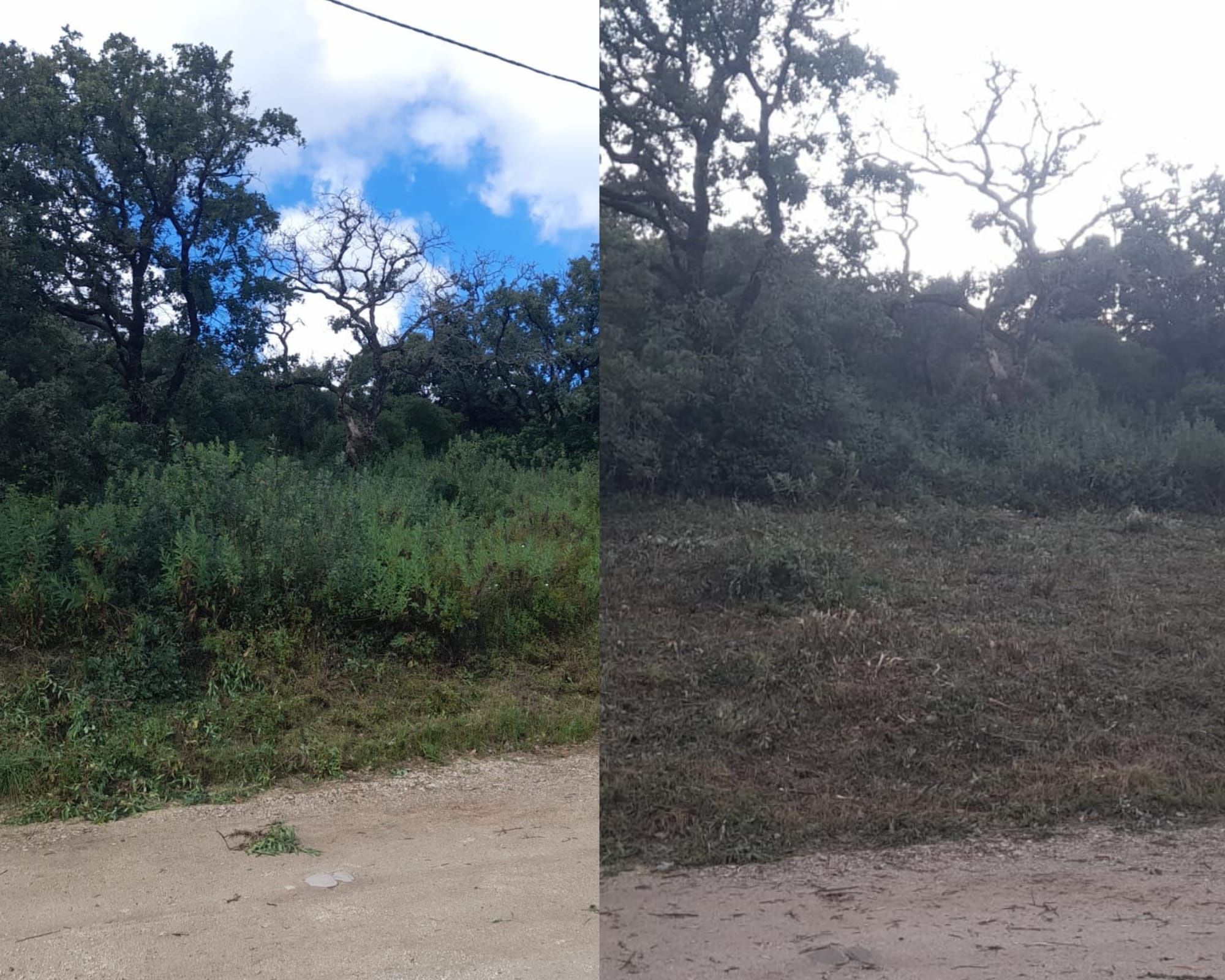 Limpeza e manutenção terrenos