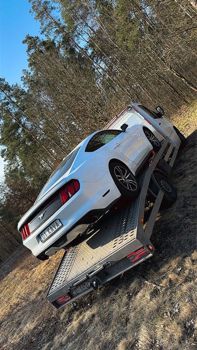 Skup Samochodów*Najlepsze ceny*Ciechanów*Mława*Przasnysz*Mazowieckie