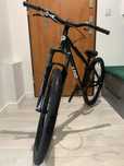 Rower Prodigy 9.81 dirt/street