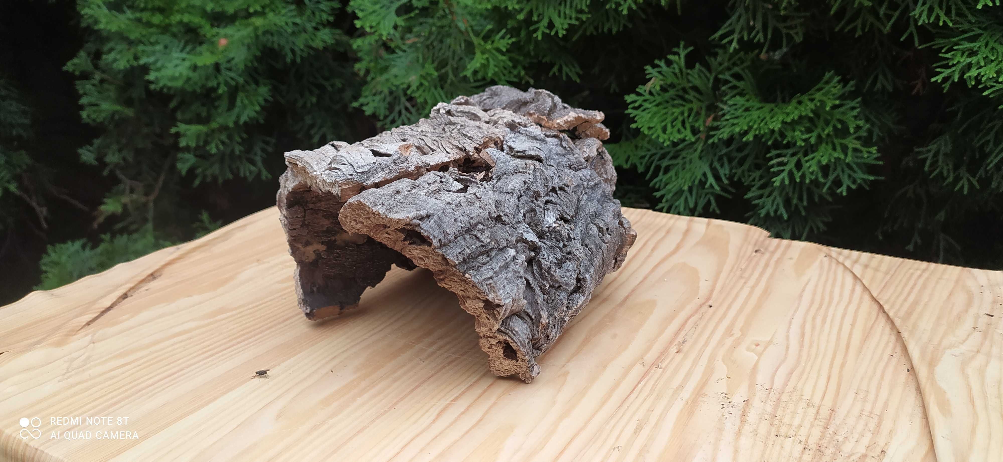 Grota z dębu korkowego do terrarium