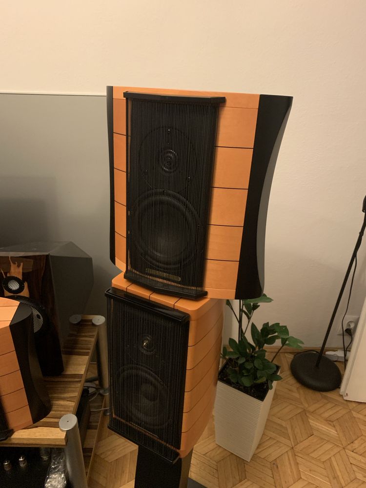Sonus Faber Auditor Elipsa Biały kruk