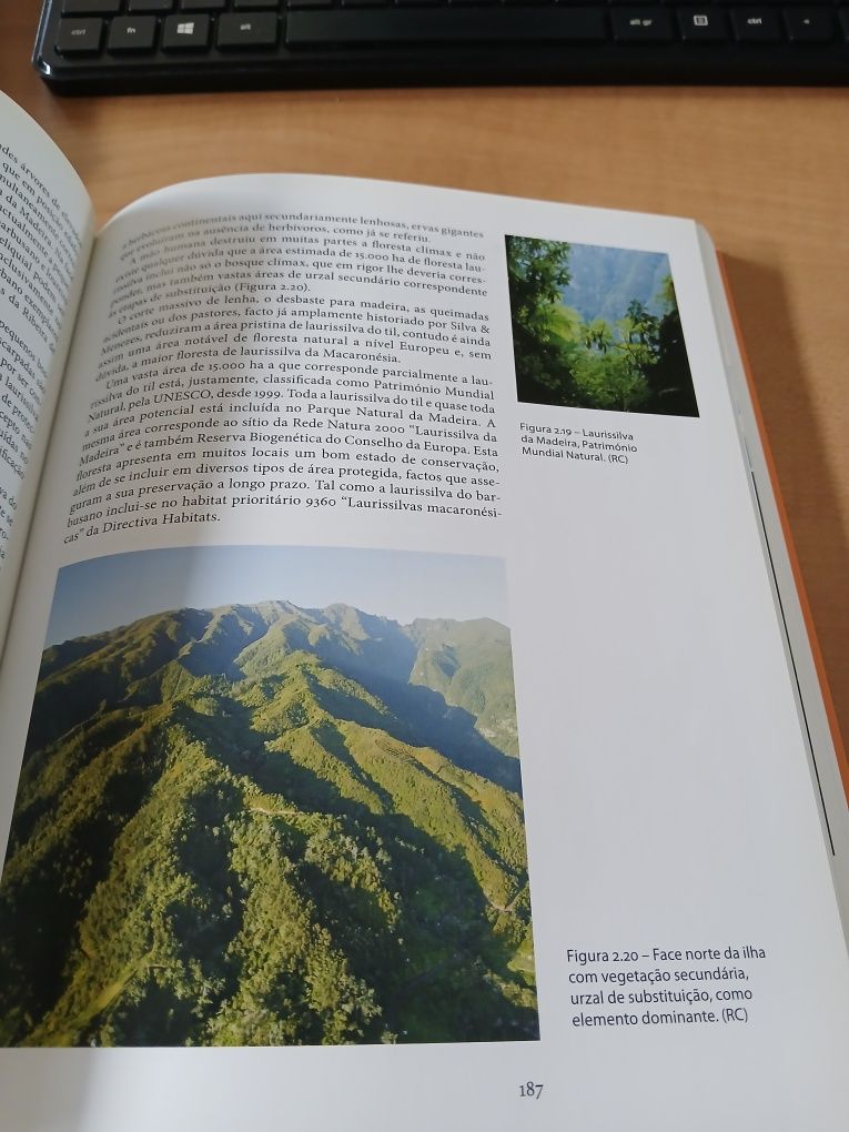 Açores e Madeira