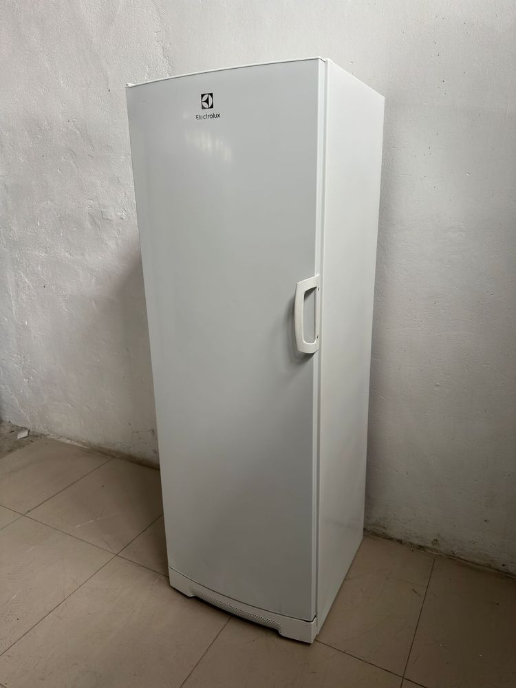 Zamrażarka Electrolux 175 cm 290 l