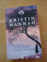 Książka odległe brzegi Kristin Hannah