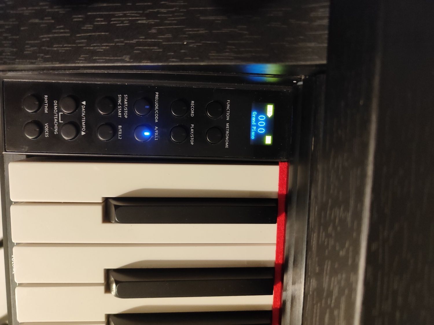 Pianino cyfrowe Pearl River Student/512 polifonia /AKOMPANIAMENTY rytm