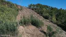 Terrenos com 10.400 m2 em Ribeira, Ferreira do Zêzere