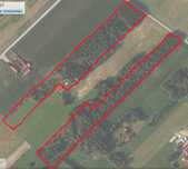 Działki Łubianka idealne na siedlisko 51128m2 (5,11 ha) gmina Janów