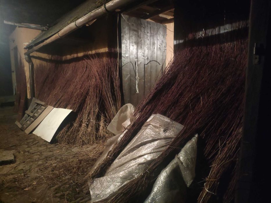 Wiklina amerykanka sucha nie sortowana.