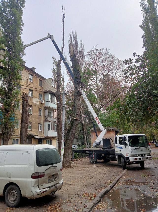 Спил аварийных деревьев