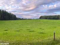 Borsk Górki warunki zabudowy 9900 m2 lub 19800 m2
