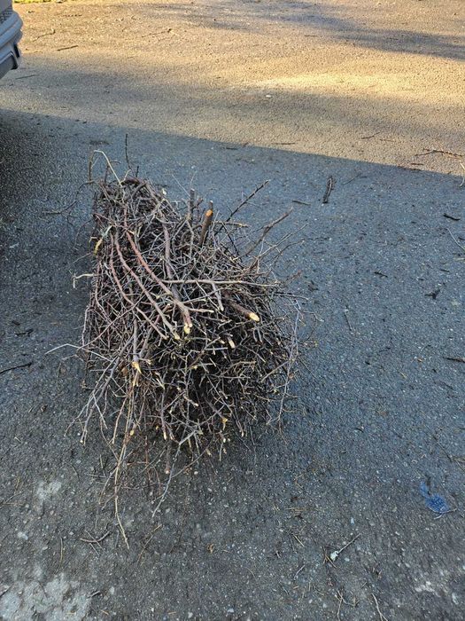 tarnina   tężnia solankowa  OD  RĘKI