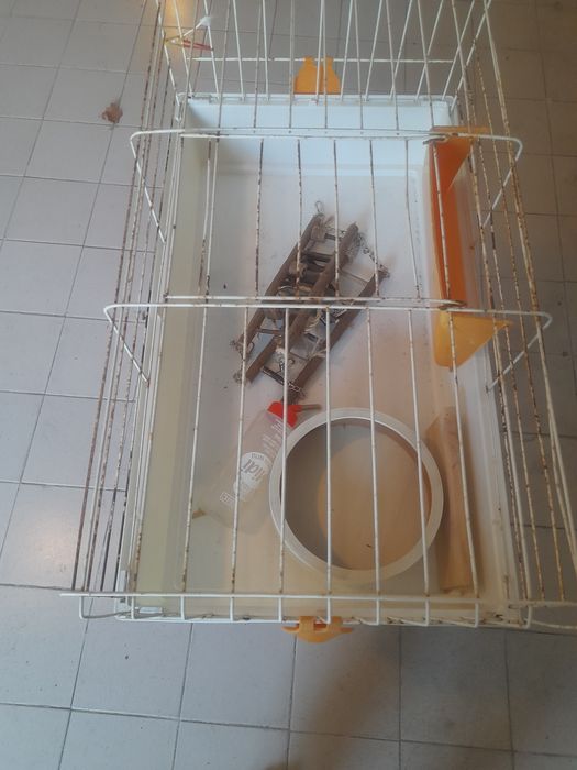 Gaiola com acessórios para animais de estimação. Não faço entregas. Ma