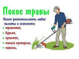 Косіння трави, обрізка дерев та кущів, обробка рослин, різноробочі