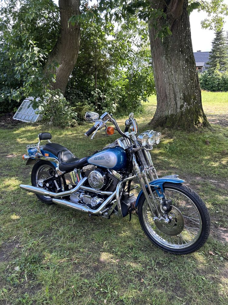 Harley davidson springer softail 1994