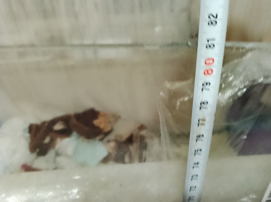 Продам форсунки двигун д 21 та лобове скло