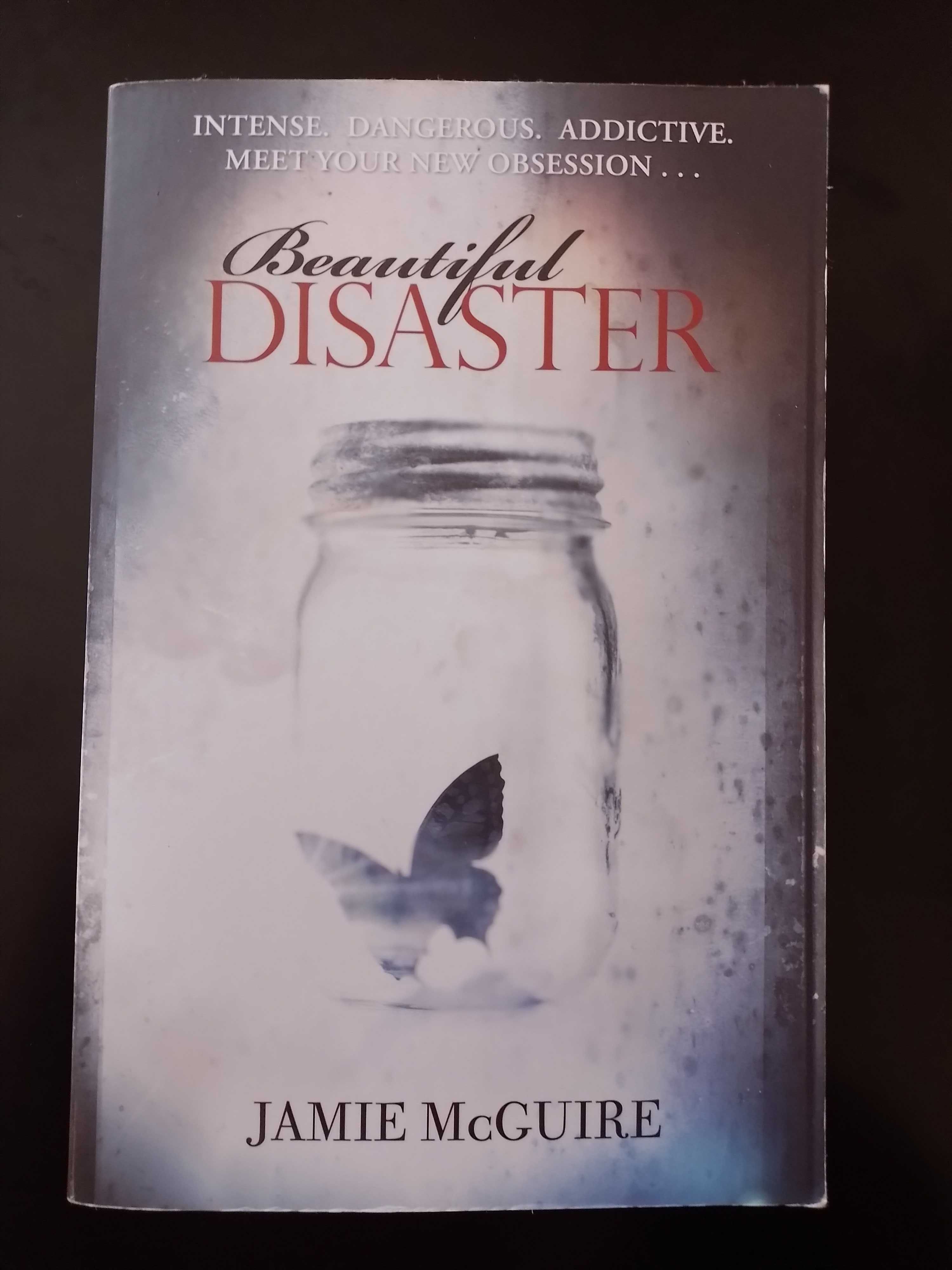 Livro Beautiful Disaster - Jamie McGuire (Inglês)