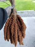 Sprzedam proso senegalskie czerwone 5kg