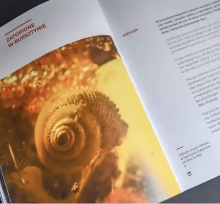 Świat bursztynu Muzeum Bursztynu
