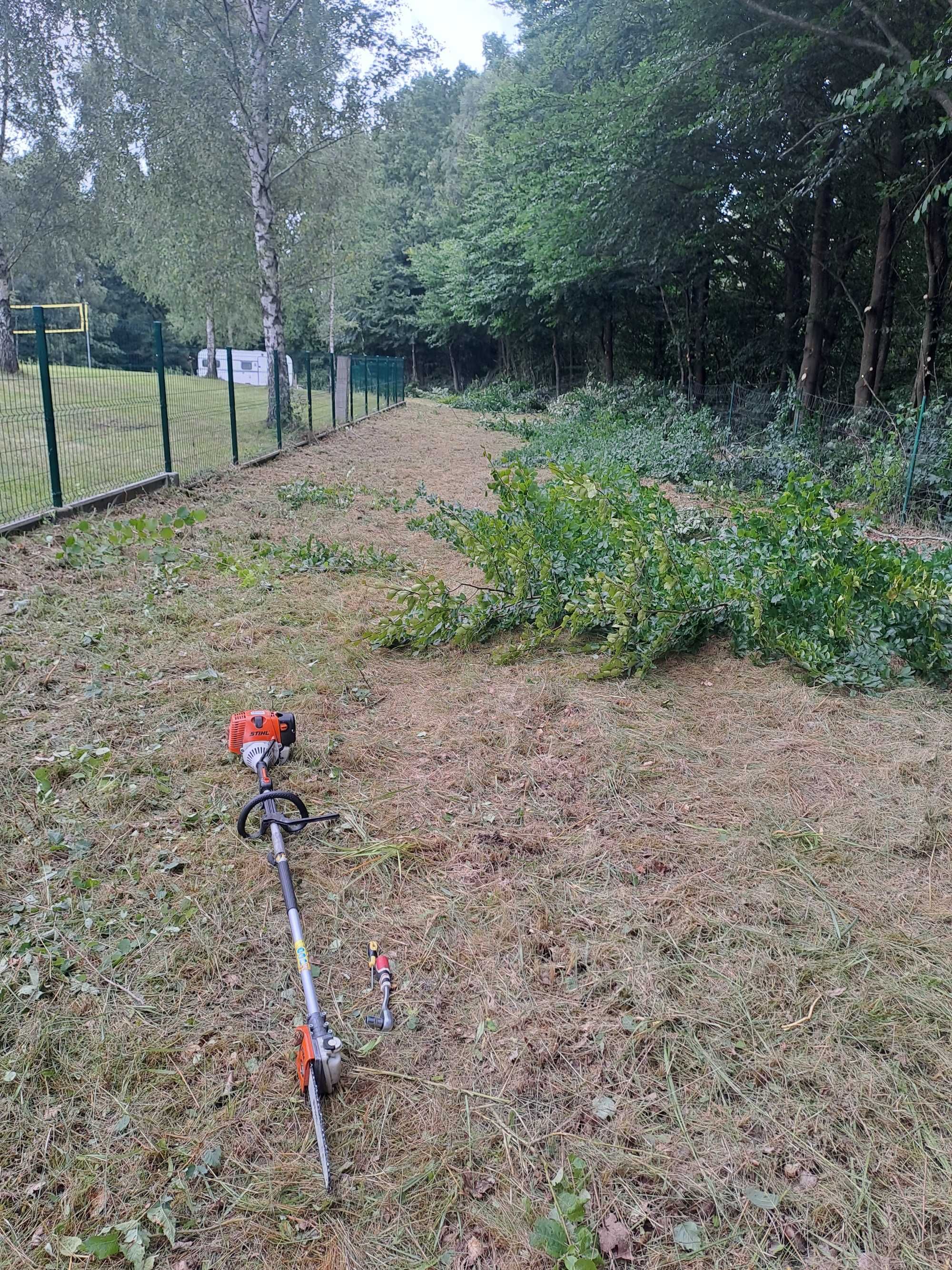 Usługi rębakiem, czyszczenie działek ,