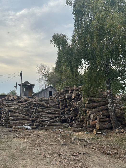 Дрова Дуб Сосна Береза Ясень Акація Граб