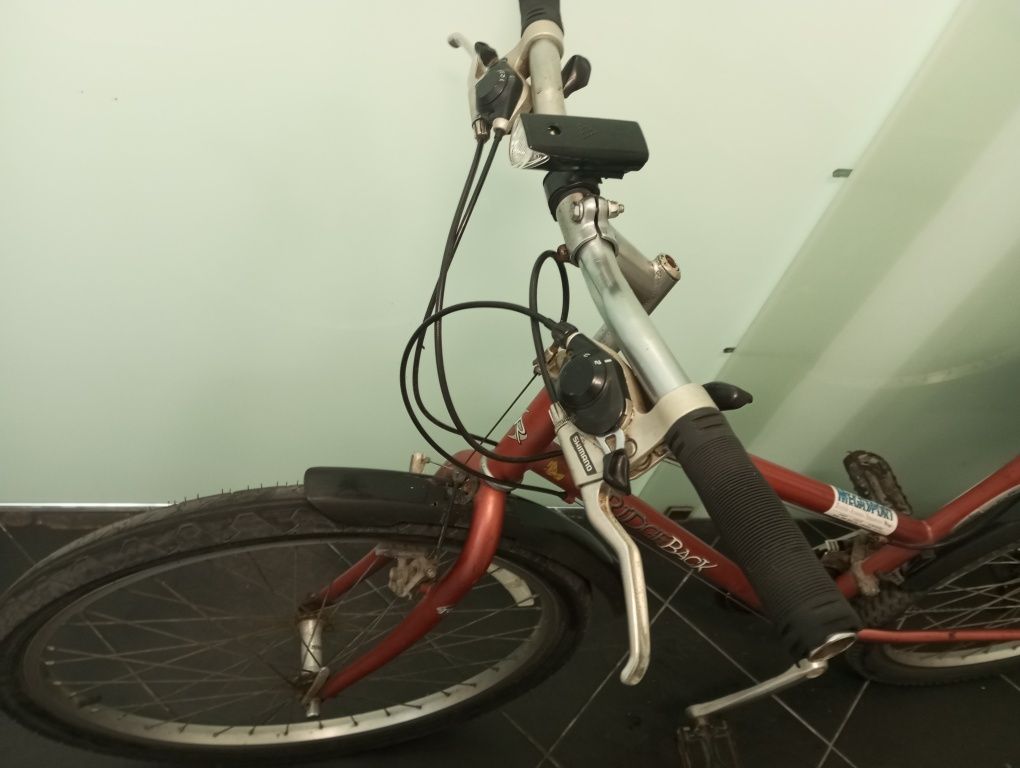 Vendo bicicleta por 180€