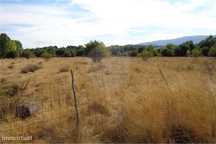Terreno agrícola