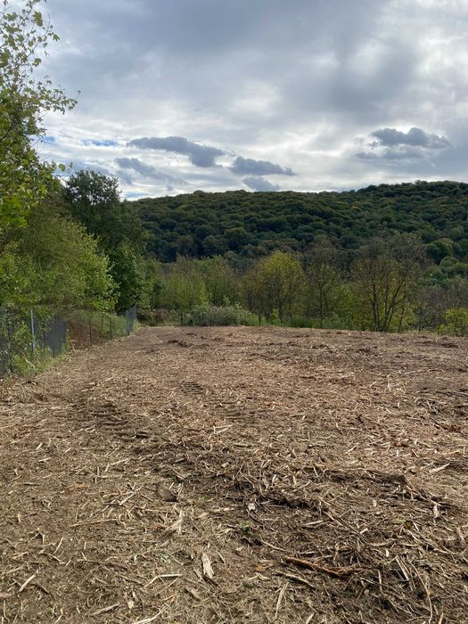 Karczowanie, czyszczenie, działek, rekultywacja, gruntów, mulczowanie