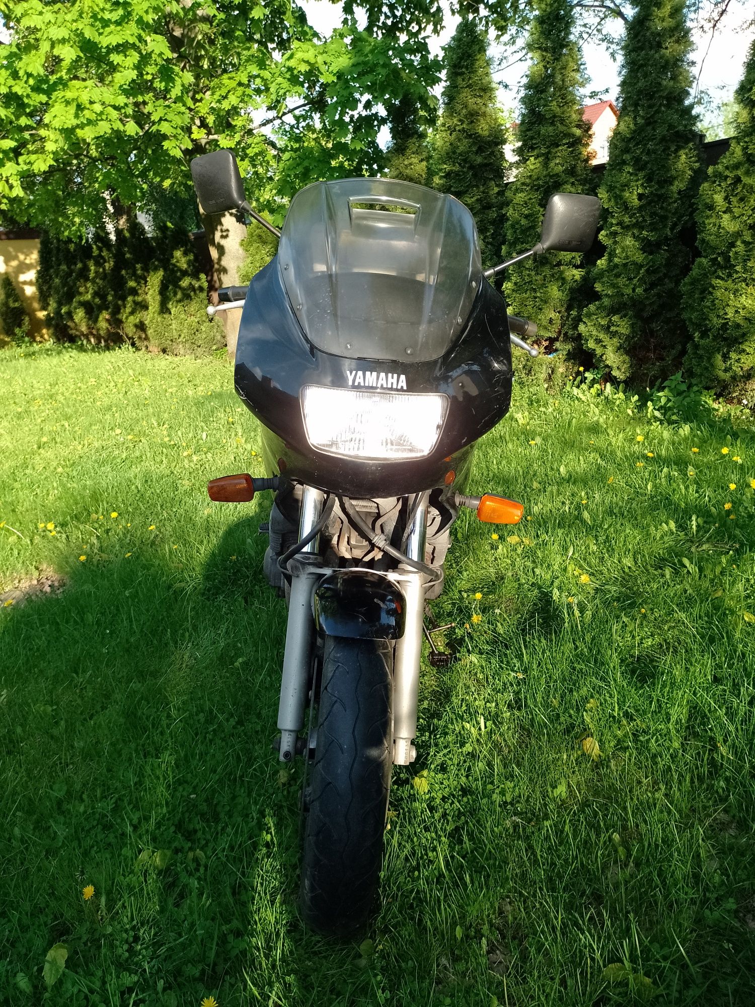 Yamaha XJ900 Diversion