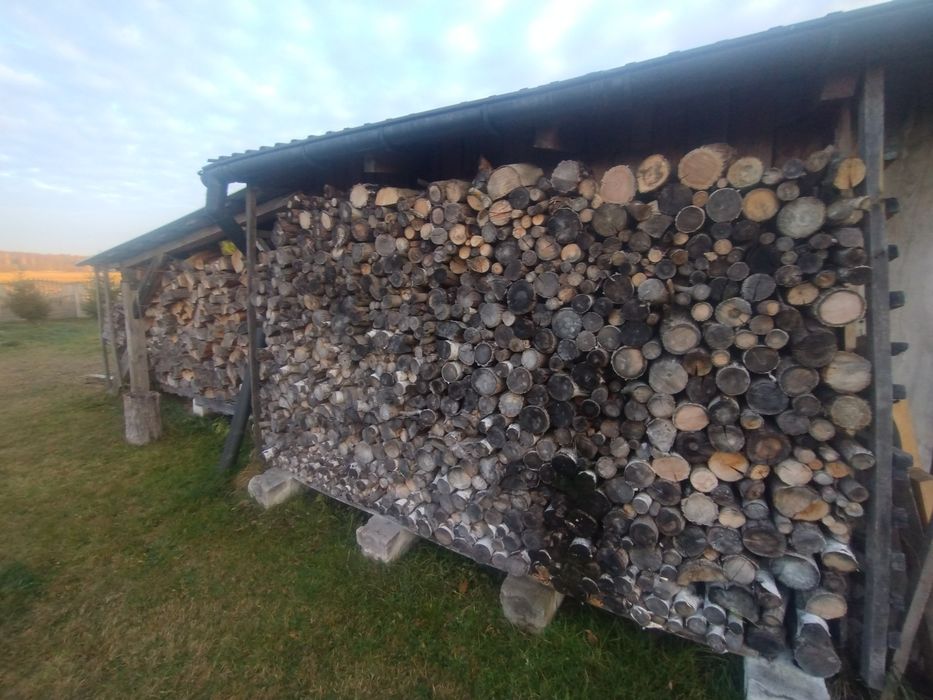 Drewno opałowe sezonowane