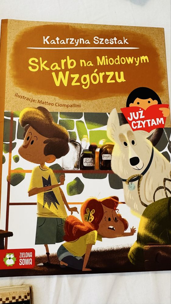 Już czytam książeczki poziom 1,2,3  Agnieszka Stelmaszyk