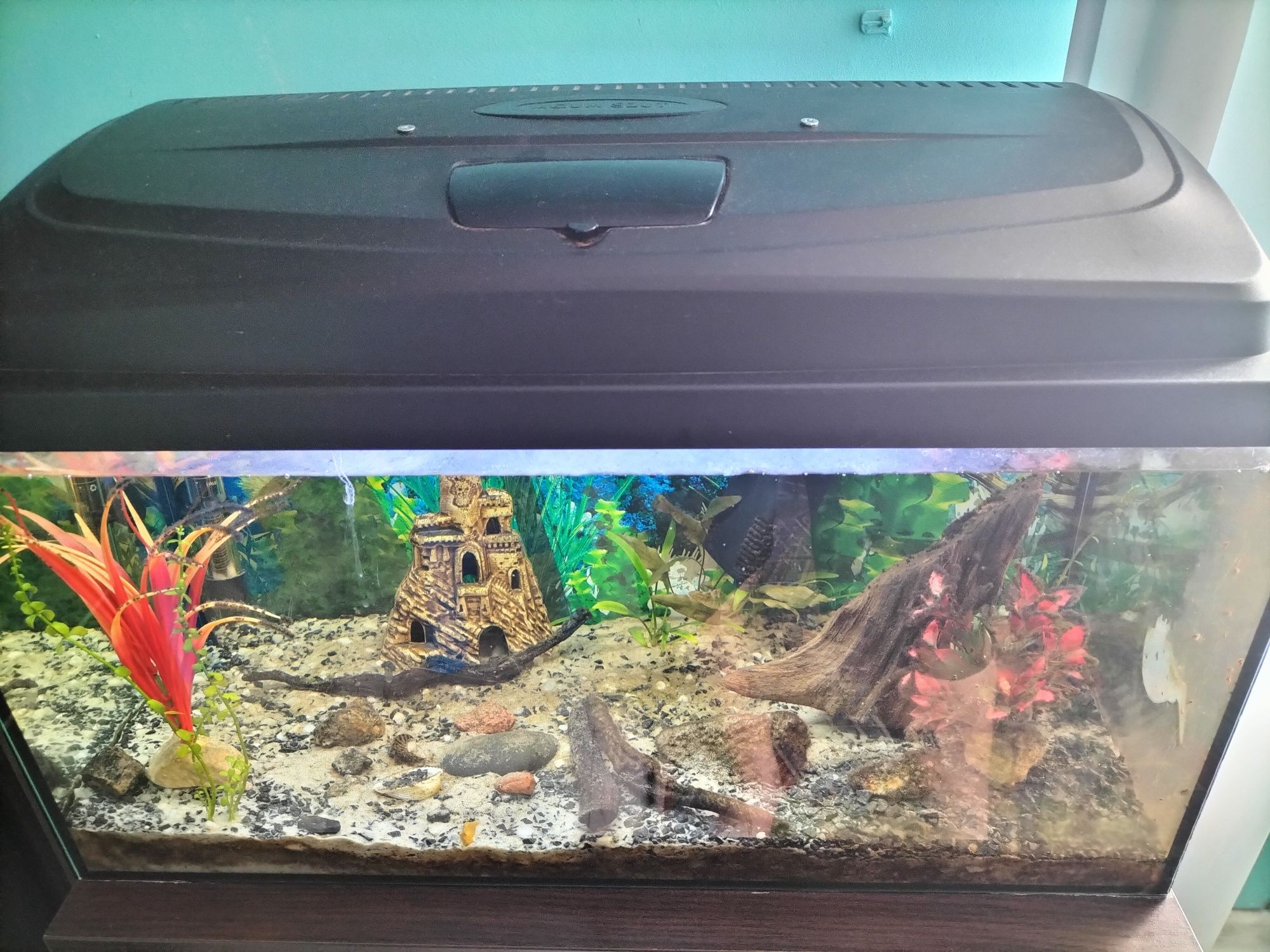 Akwarium 40×60 +stojak