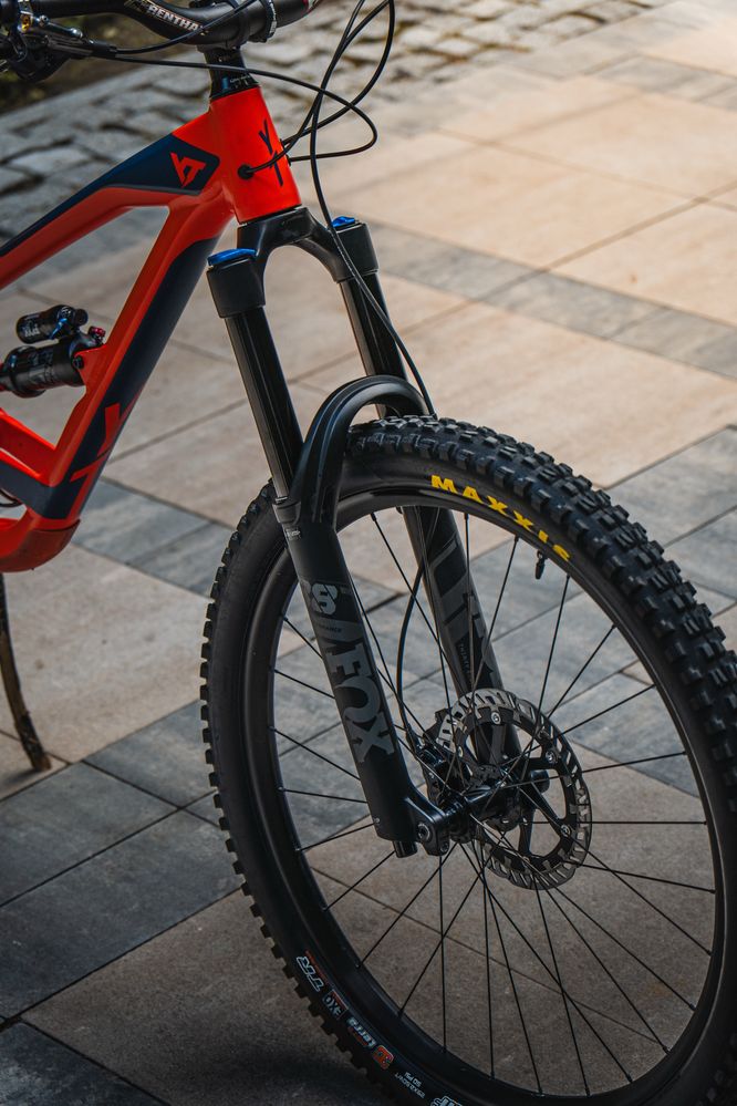 YT CAPRA 29 XL 2019