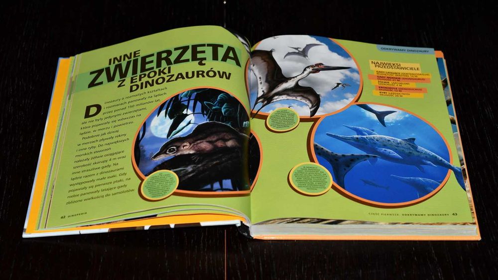 Edukacyjne: gra i dwie książki dla fana dinozaurów