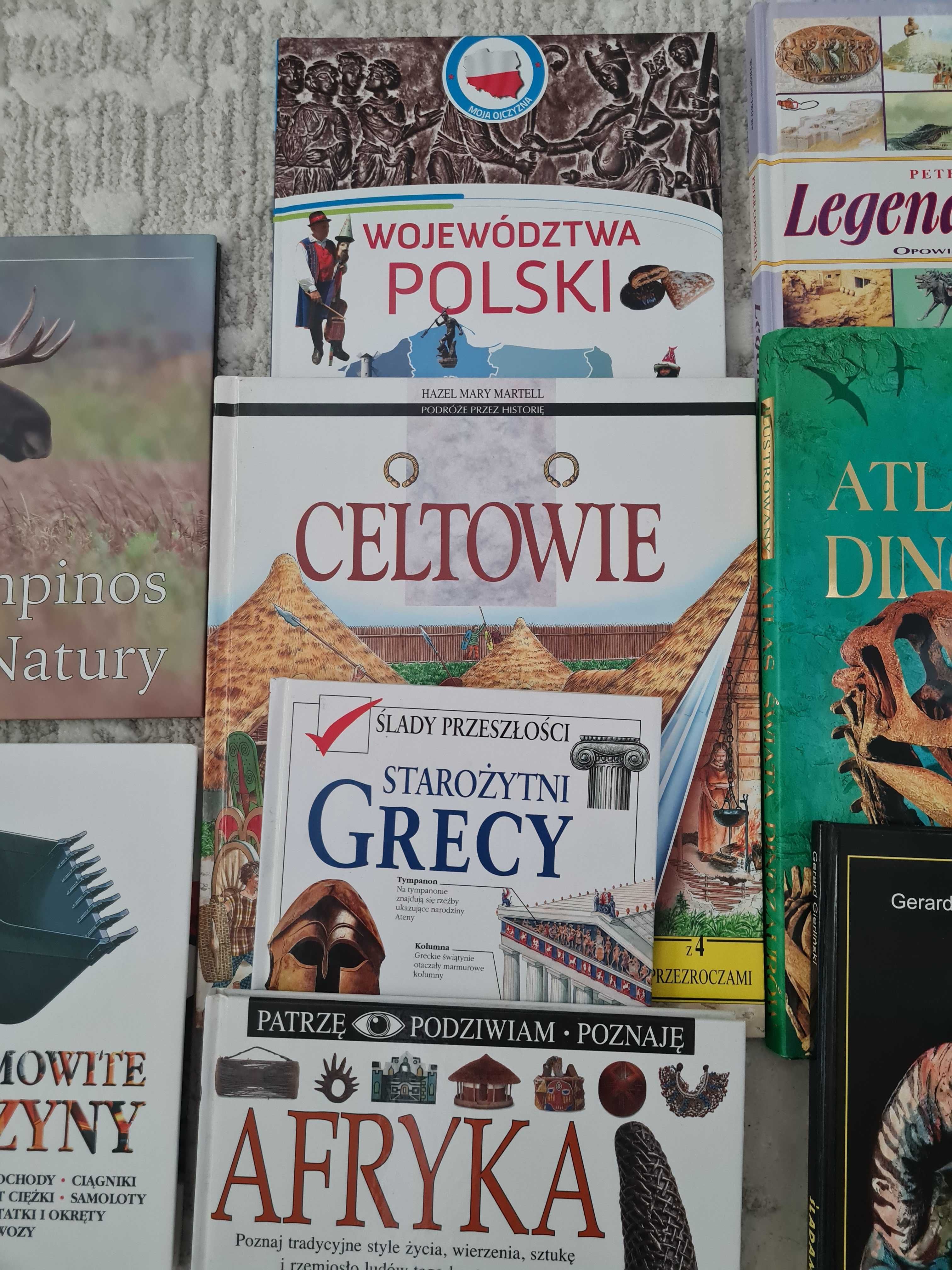 Książki albumy dla dzieci dinozaury rzym grecja starożytna