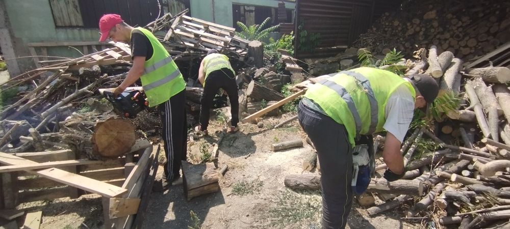 Покос травы,уборка участка,демонтаж ,вывоз веток,дробление веток,спил