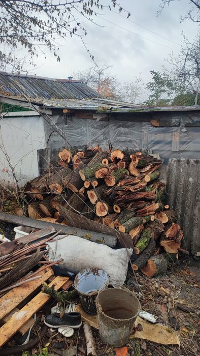 Спил и распил деревьев на вашем участке от 300грн