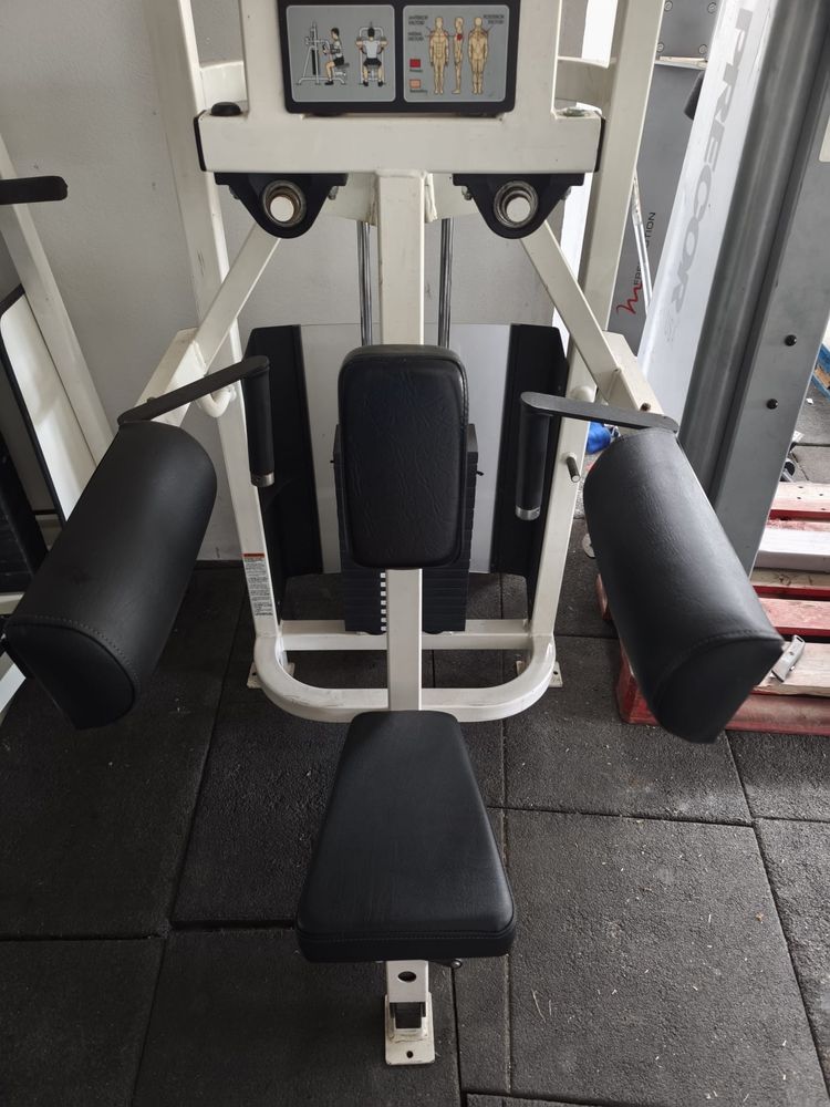 Life fitness lateral raises pro 1