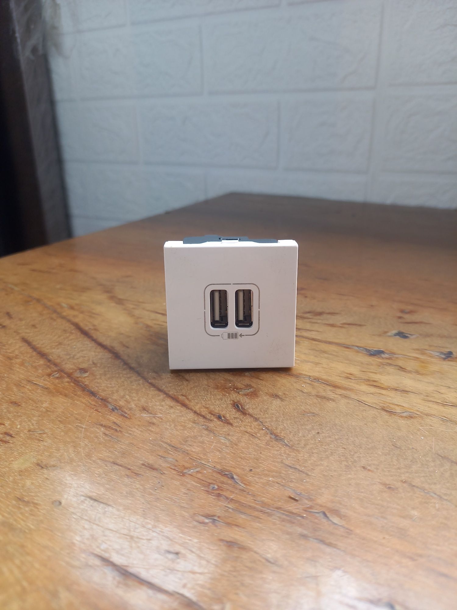 USB розетка двойная 077594