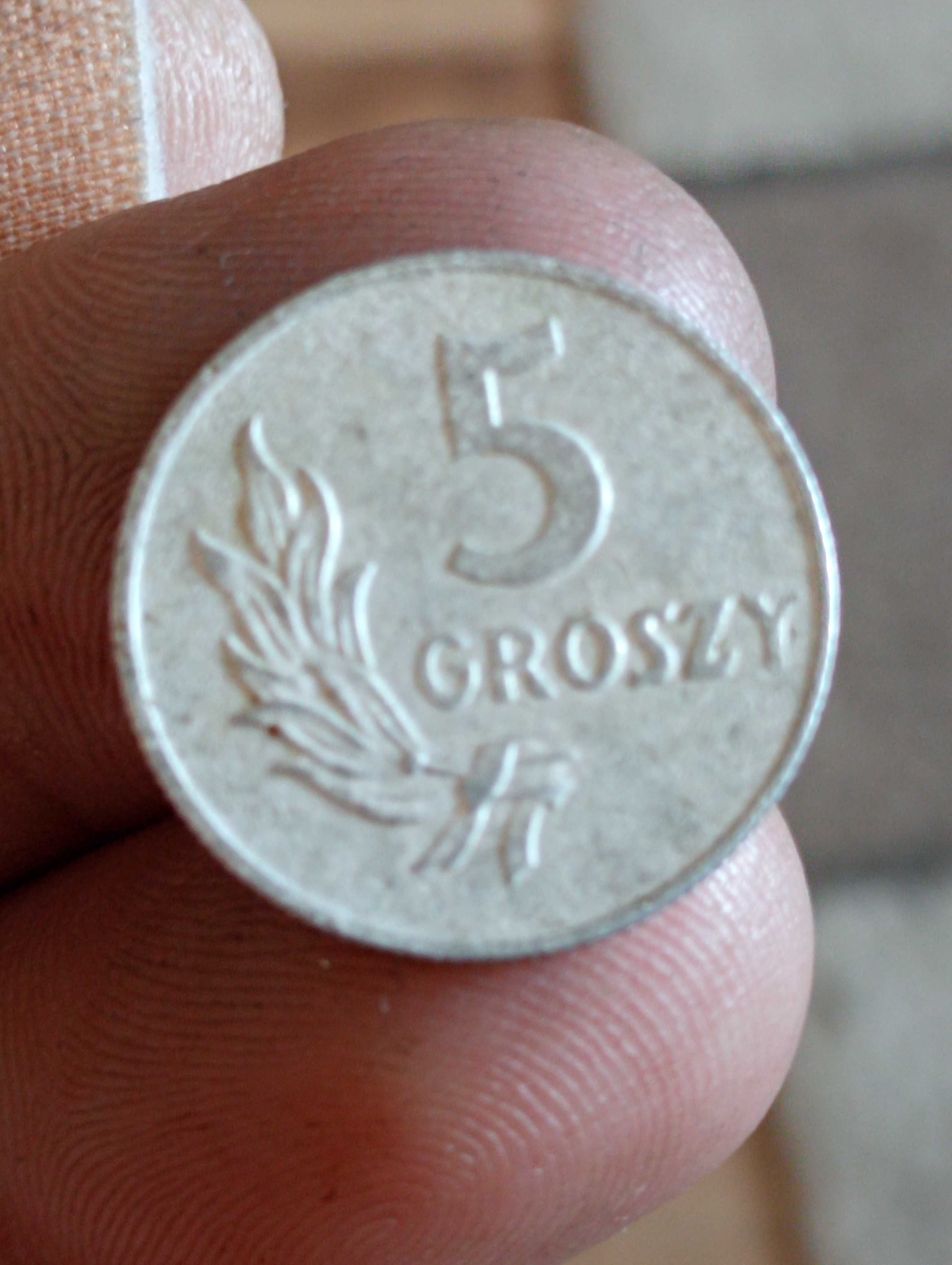 Spadam aluminium monetę 5 gorszy 1949 r bzm