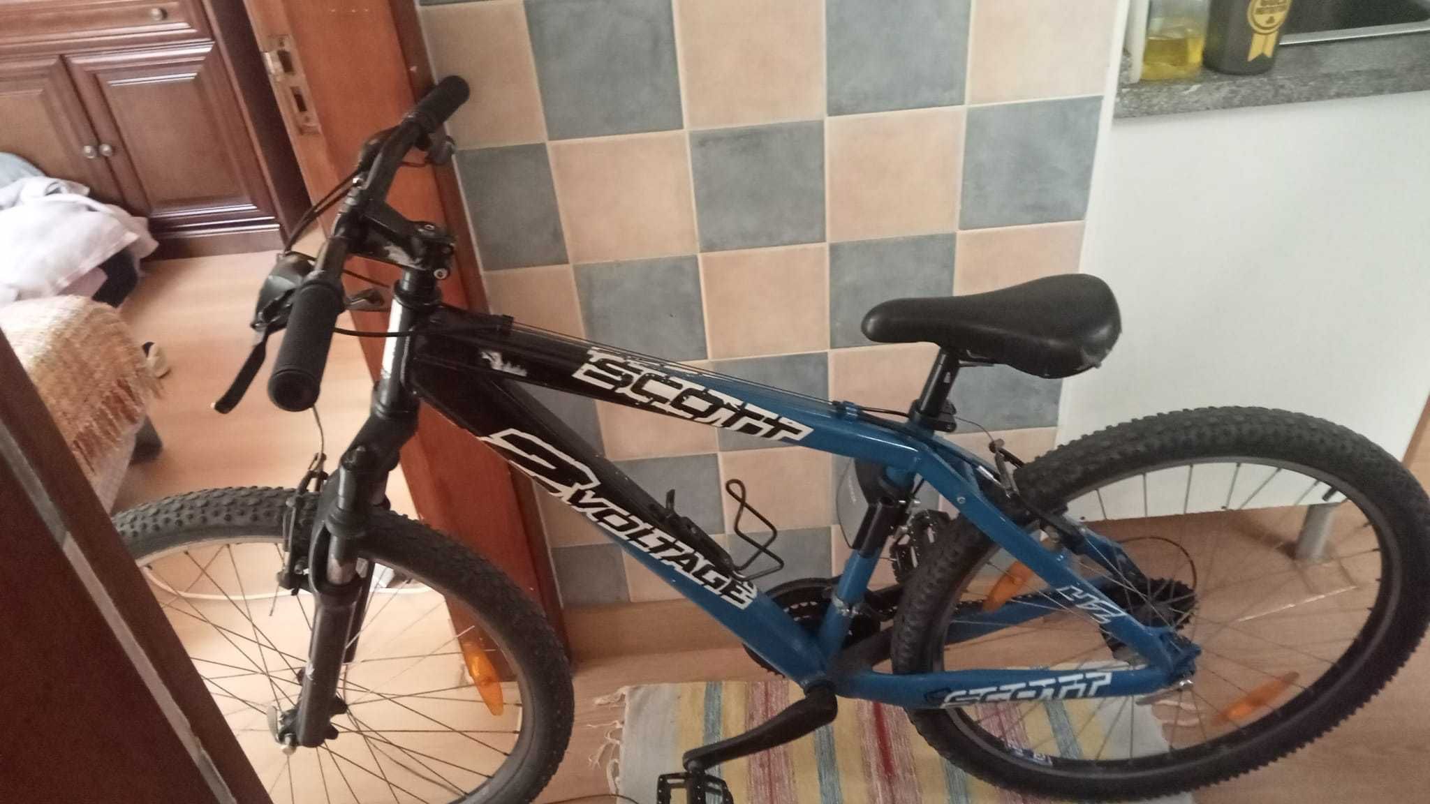 Bicicleta Tamanho Adulto