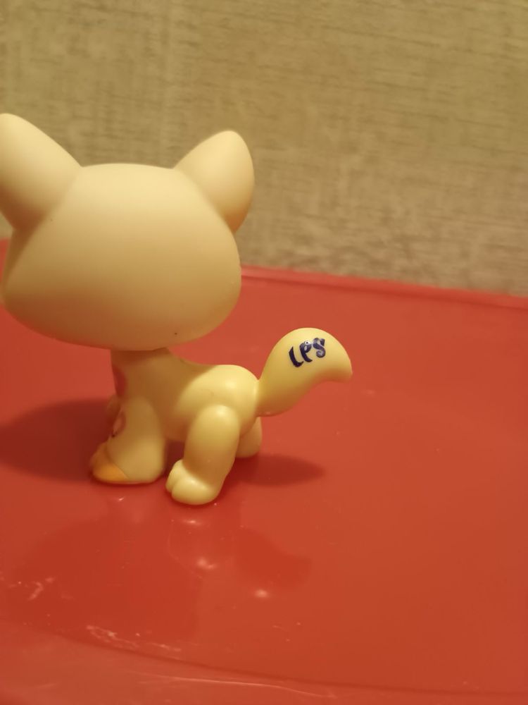 Littlest pet shop kot shorthair kociak kitten cat LPS kolekcjonerska