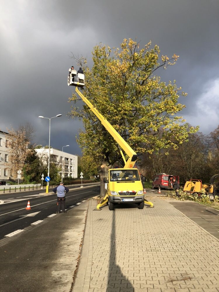 Wycinka drzew Radzymin Wolomin Wyszków podnosnik koszowy wynajem