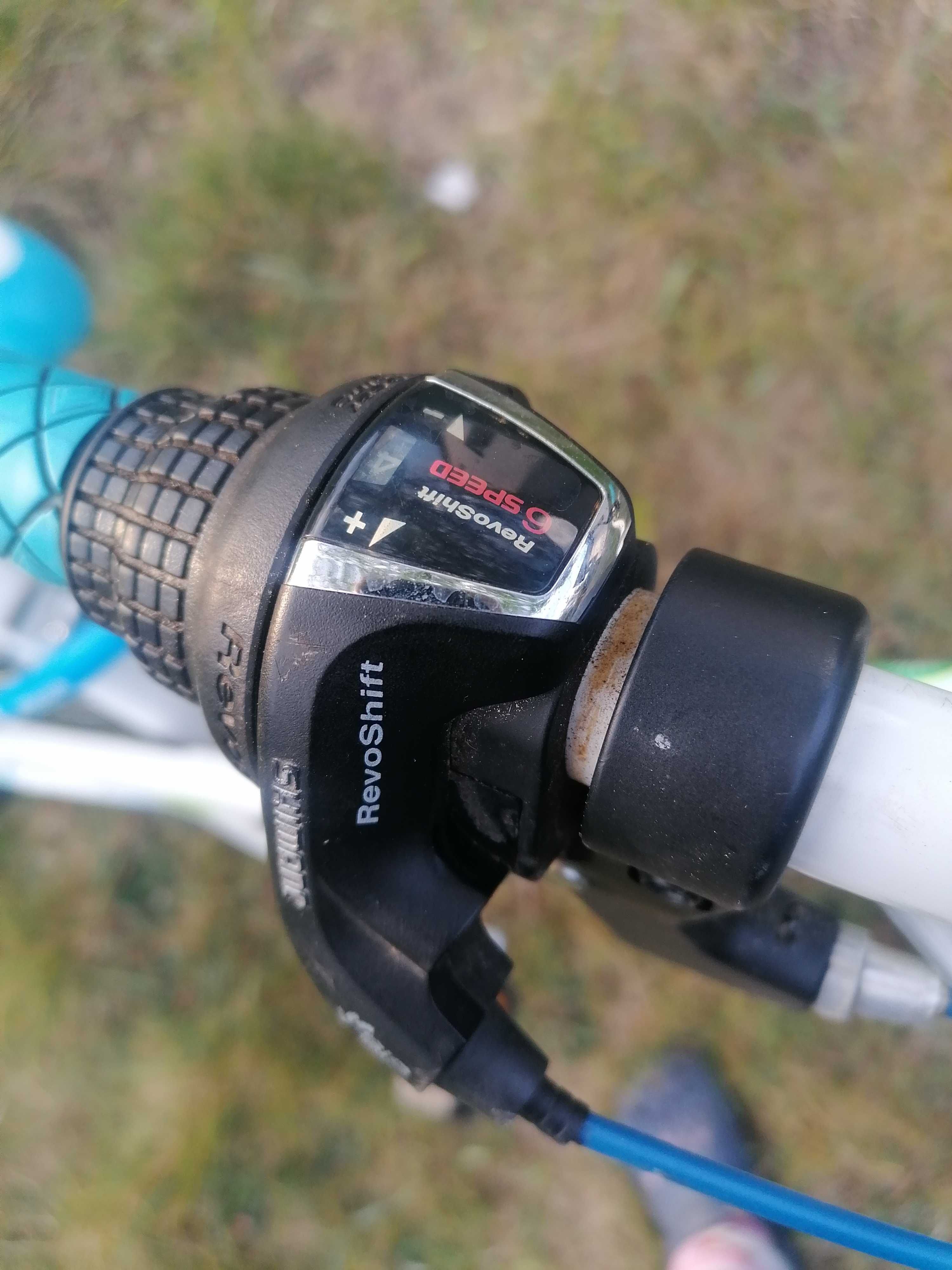 Rower Arkus Julka 20 cali