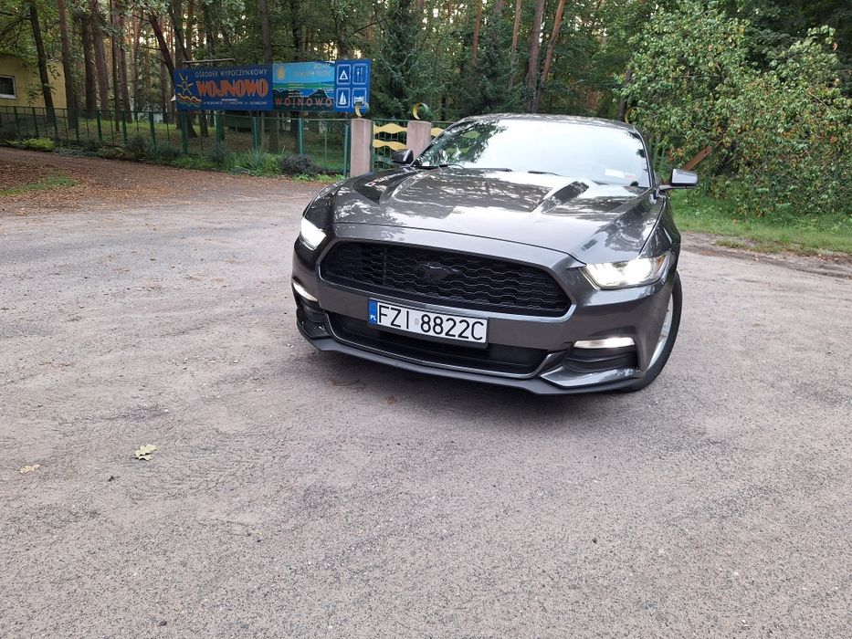 Ford Mustang 3.7 V6 Ładny Warty Uwagi Doinwestowany Zam Kamper