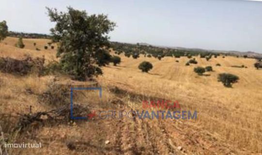Terreno rústico de cultura arvense com 39 000m2 em Vale da Azinheir...