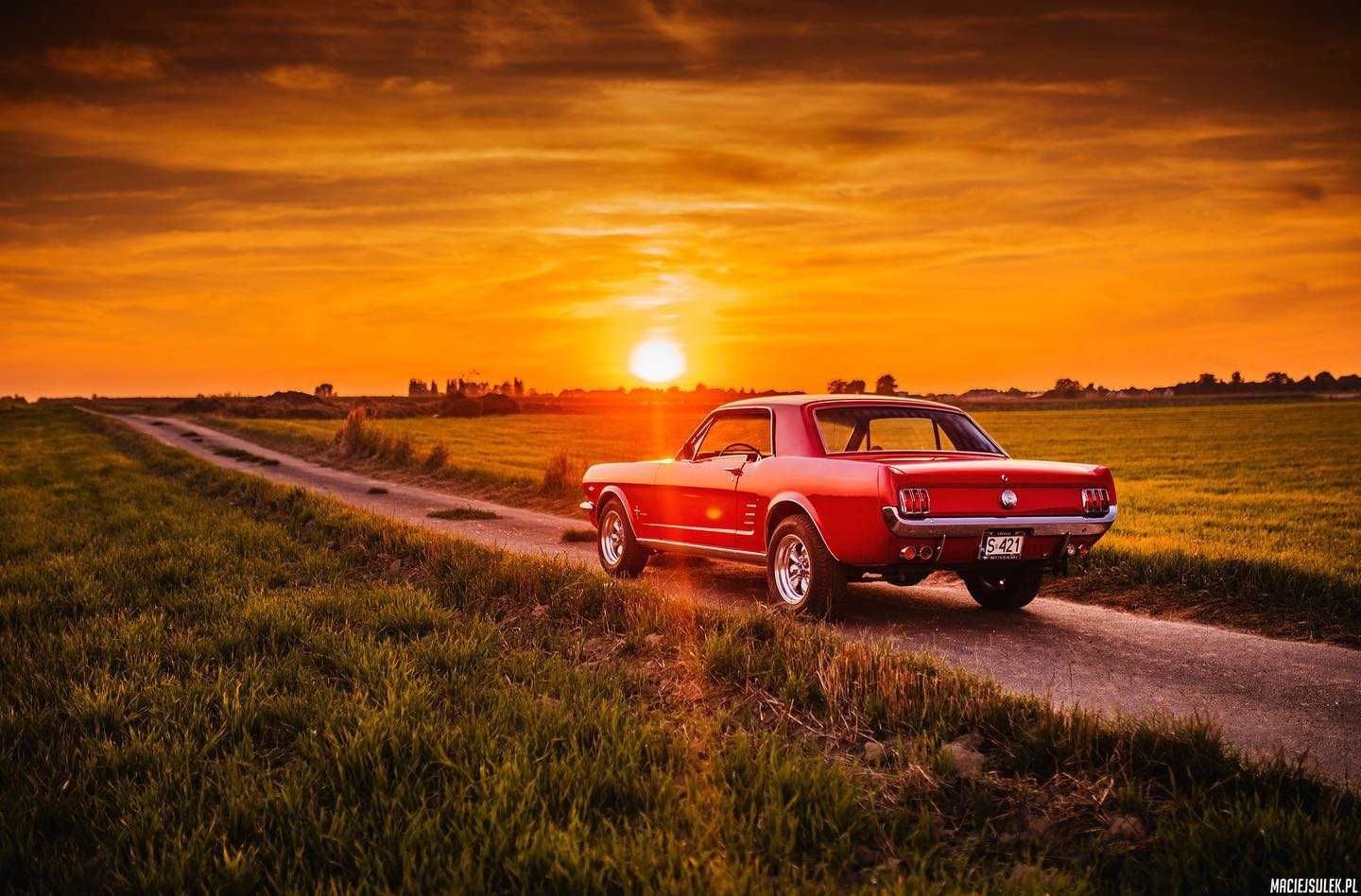 Auto do Ślubu - Samochod Ford Mustang V8 1966/1965r