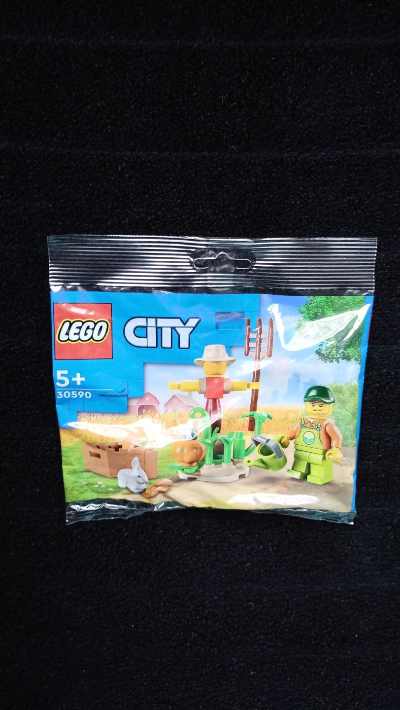 Klocki LEGO City 30590 - Ogród na farmie i strach na wróble