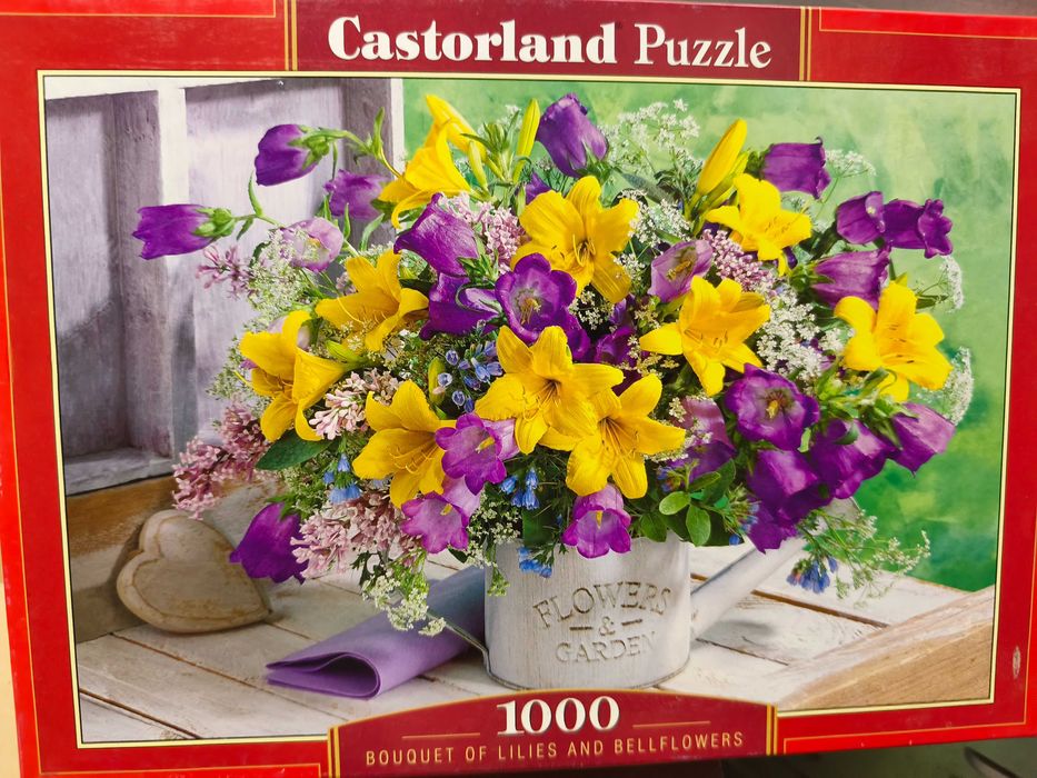 Puzzle Castorland 1000